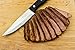 Steak Knives: BlizeTec Stainless Steel Cutlery Set (4 Pcs)