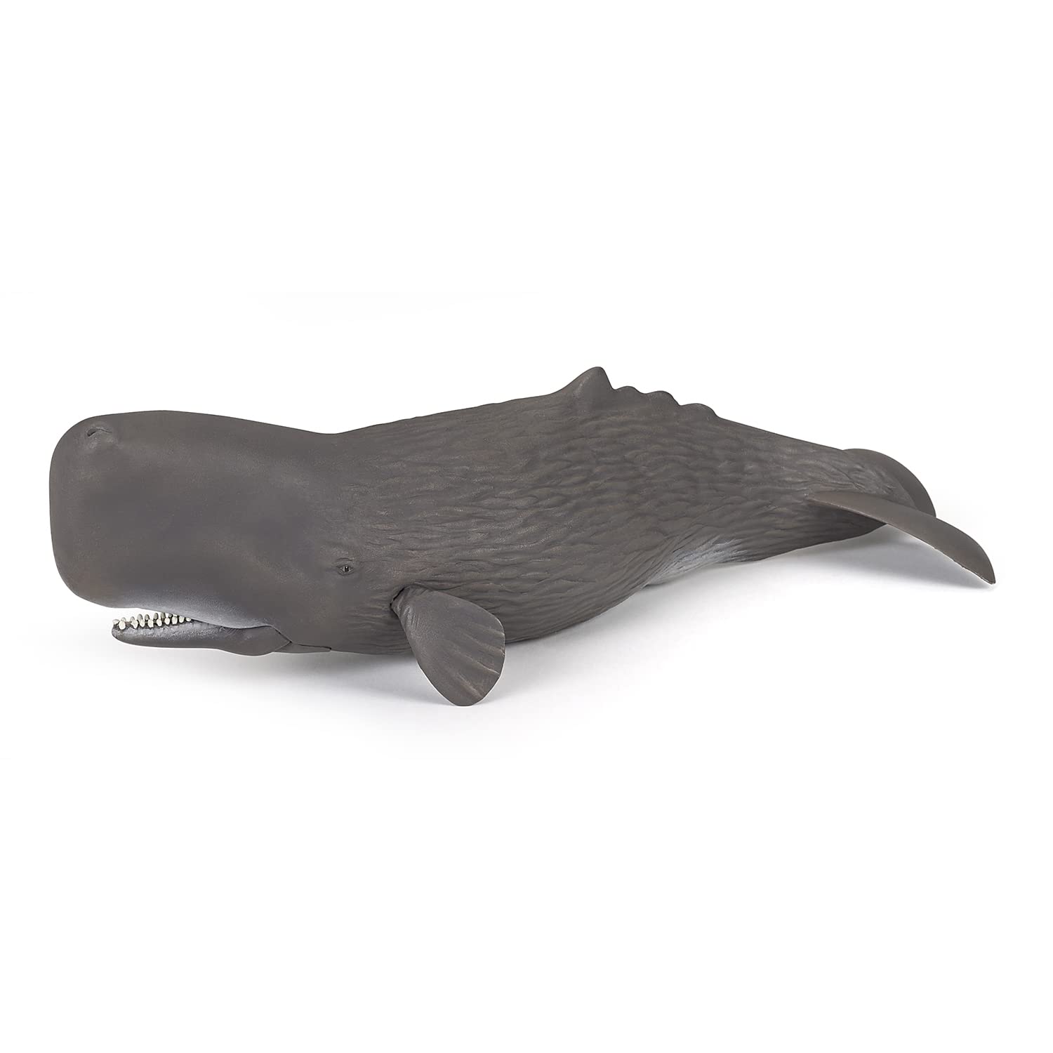 Photo 1 of Papo - Sperm Whale - Realistic Figurine - for Ages 3+ - Marine Life Collection - Hand Painted - Highly Detailed - Durable and Educational - Gift Idea - Collectable - Ocean Animal Figurine