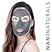 Nalani Dead Sea Mud Mask Facial Treatment, 6 Ounces, Organic, Made in USA