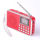 Mfine Portable Speaker AM/FM Radio Music Player Micro SD/TF Card For PC iPod Phone (938B Red)