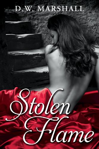 Stolen Flame (The Seven Chamber Series Book 1)