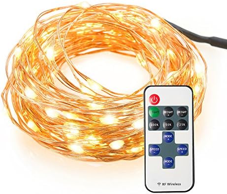 RMJ 33ft 100 LEDs Dimmable String Lights with Remove Control,Waterproof Decorative Lights for Bedroom, Windows, Patio and Parties (Warm White)