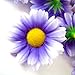 (12) Silk Purple White Edge Gerbera Daisy Flower Heads , Gerber Daisies - 1.75