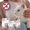 Beaphar | FIPROtec Spot-On for Cats | Kills Fleas & Ticks | Vet Strength Treatment | 6 Pipettes
