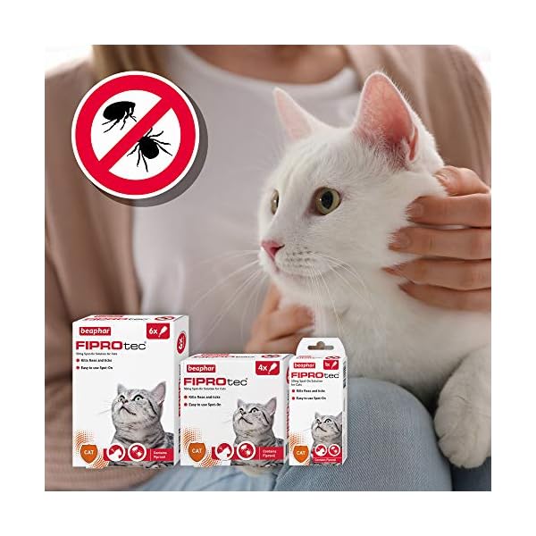 Beaphar | FIPROtec Spot-On for Cats | Kills Fleas & Ticks | Vet Strength Treatment | 6 Pipettes