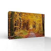 signwin-Canvas Wall Art-Sunshine in The Forest -Canvas Prints Home Artwork Decoration for Living Room,Bedroom - 12x18 inches