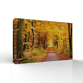 Canvas Wall Art-Sunshine in The Forest -Canvas Prints Home Artwork Decoration for Living Room,Bedroom - 16x24 inches