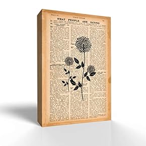 Vintage Newspaper Pictures Home Wall for Bedroom Living...