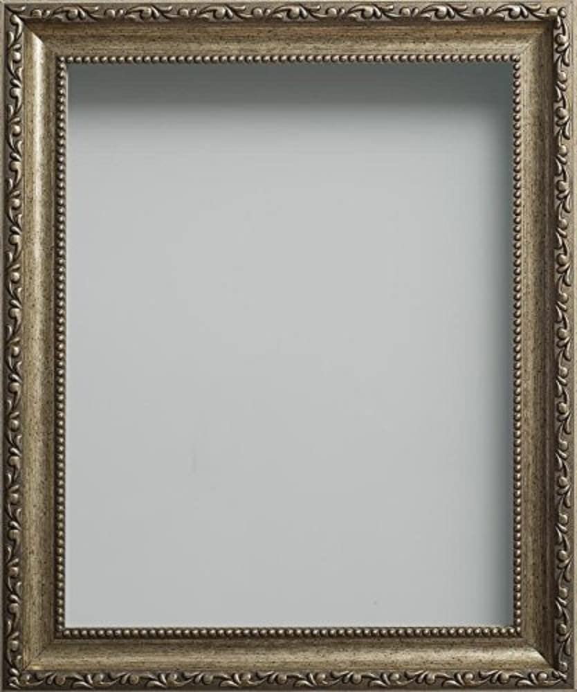 Frame Company Brompton Range 1-Piece 18 x 12-inch Picture Photo Fram, Bronze