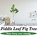 CROSOFMI Upgrade Artificial Fiddle Leaf Fig Tree Plant 5.2Feet Fake Ficus Lyrata with 69 Leaves Faux Fig Tree