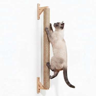 Amazon.com New Releases: The best-selling new & future releases in Cat  Scratching Posts