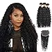 Synthetic Hair Lace Front Wigs for Black Women Long Natural Wavy Wave Lace front Wig with Baby Hair Natura Hairline Realistic Human Hair Wig Body Wave Wig Half Lace Wigs (28, Natural Color)