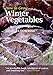 How to Grow Winter Vegetables by 