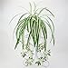 Crt Gucy Artificial Plants Silk Greenery Chlorophytum Leaves Tropical Grass Fake Plants For Home Kitchen Dining Table Garden Wedding Mini Pot Outdoor Décor