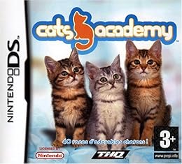 Cats Academy