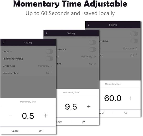 Mdulo de rel inalmbrico Abrepuertas WiFi interruptor 4 canales avance lentoautobloqueo rel DIY control remoto de puertas garaje con control remoto RF de 433 Mhz compatible con Alexa Google IFTTT