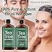 Sulfate free anti dandruff Tea-Tree-Oil Shampoo and Conditioner Set – Made with Therapeutic Grade Tea Tree Essential Oil - Deep Cleansing for Dandruff, Dry Scalp & Itchy Hair – Men & Women 2x16oz …