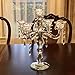 Allgala Crystal Candle Holder 5-Arm Taper Candlestick Crystal Candelabra - Centerpiece for Home Wedding Event and Party Festival