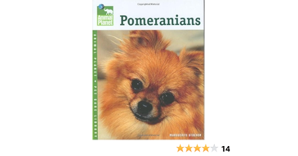 pomeranian amazon