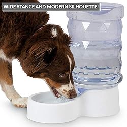 PetFusion H2O Gravity Pet Water Dispenser. Durable