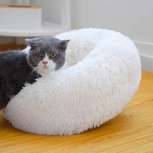 Vivi Bear Cat Bed Dog Bed Round pet nest Extra Soft Comfortable Cute
