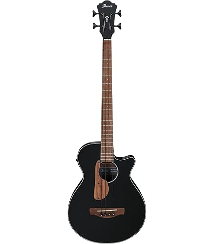 Amazon.com: Ibanez PNB14E OPN Parlor Open Pore Natural