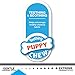 Nylabone Dental Kit for Puppies Peanut Butter X-Small/Petite (4 Count)