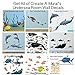 Dolphin Family Ocean Wall Decals, Fish, Undersea Decor Stickers for Kids Room Underwater Sea Wall Stickers, Boys Girls Toddler Baby Nursery Bedroom, Playroom, Bathroom (Dolphin Family)