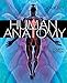 Human Anatomy