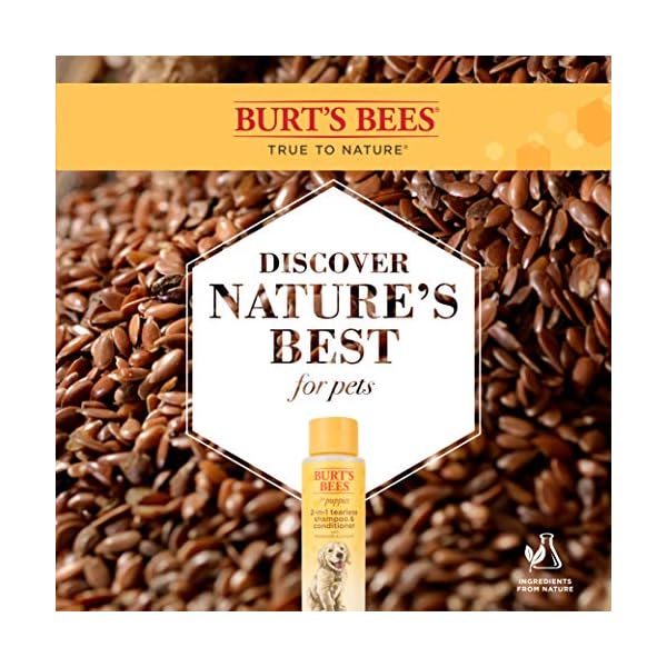 burt's bees dog conditioner