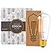 Edison Light Bulbs by Scandic Gear - 4 Pack - 60 Watts - Vintage Light Bulbs Add Antique Touch to Décor - Retro Light Bulbs for Vintage Lamps and Fixtures - Clear Glass Edison Light Bulb