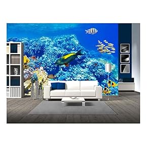 Wonderful and Beautiful Underwater World with Corals and Tropical Fish