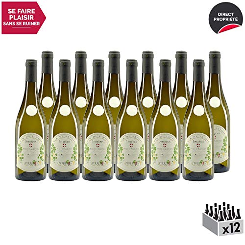 Vin de Savoie Jongieux"Perle d'Agrumes" Blanc 2018 - Maison Perret - Vin AOC Blanc de Savoie - Bugey - Cépage Jacquère - Lot de 12x75cl