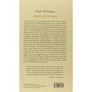 Hojas de hierba