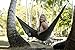 Big W Hammock for Camping, Backpacking, or Hangout Wildwood Hammocks are Ultralight, Strong, Portable; Durable Parachute Nylon; Triple Stitching; Carabiners for Easy Hanging