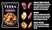 TERRA Sweets Medley Chips with Sea Salt, 5.75 oz. (Pack of 12)