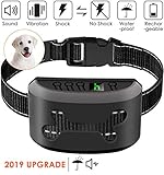 Bark Collar, 2019 Upgrade Version, Harmless Bark Collar for Small Medium Large Dog, Rechargeable Anti bark Collar, Beep Vibration and No Harm Shock Smart Detection Module Bark Collar, 2019 Upgrade Version, Harmless Bark Collar for Small Medium Large Dog, Rechargeable Anti bark Collar, Beep Vibration and No Harm Shock Smart Detection Module