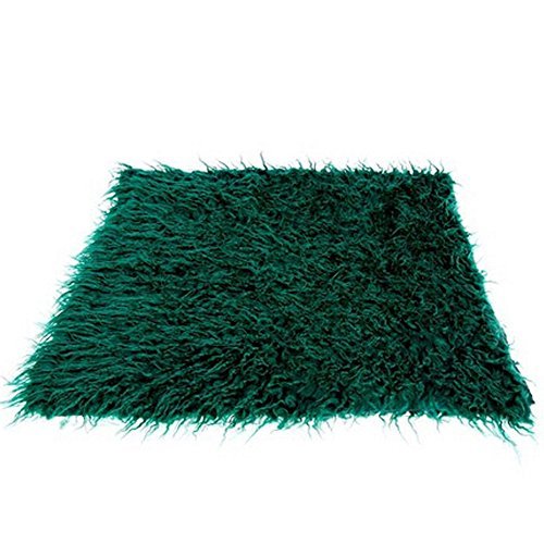 Fanala Newborn Baby Fur Backdrop Flannel Background Blanket Greenr Color: Green Model: (Newborn, Child, Infant)