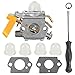 Butom C1U-H60 Carburetor with Gasket Adjustment Tool Primer Bulb for 25cc 26cc 30cc Ryobi Homelite String Trimmer Brush Cutter Blower 308054013 308054012 308054004 308054008 308054077 primary