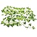 Wofair 241 Feet Fake Ivy Garland, Hanging Ivy Vines Wall Decor Fake Ivy Vines for Bedroom, Faux Ivy Plant with Leaves for Wedding Party Festival Backyard Decor (36 Strands 6.7 Feet Each)