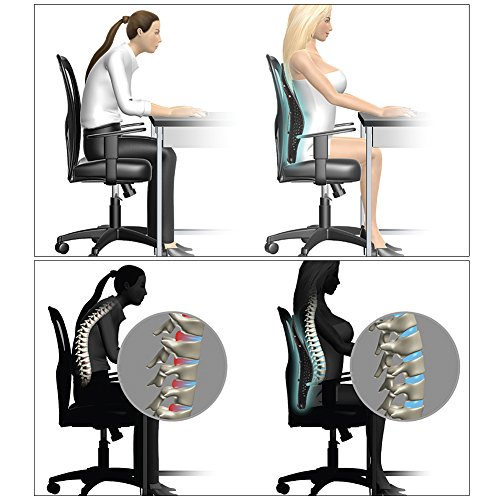 DRHO's New Perfect Back Rest Midnight Black Buy Online in UAE