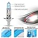 AGPTEK High Bright H1 Halogen Headlight Bulb, 2 Pack