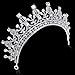 BABEYOND Crystal Queen Tiara Birthday Crown Rhinestones Pageant Quinceanera Crown Prom Princess Tiara Crown Bridal Wedding Crown Tiara Headband (Silver)