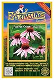 Everwilde Farms - 1000 Purple Coneflower Native