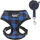 PUPTECK Soft Mesh Dog Harness with Leash - Plaid Adjustable Puppy No Pull Harnesses - Pet Padded Walking Vest Blue Small