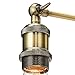 Home Luminaire 31680 Rushford 1-Light Adjustable Sconce with Exposed Bulb Antique Brass/Bronze Finish