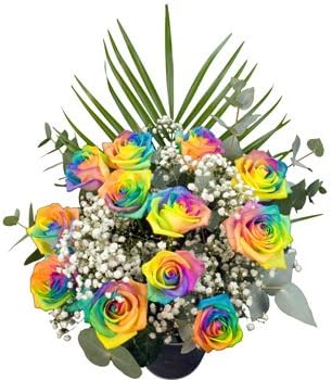 12 Happy Rainbow Roses Presented in a Hand Tied Bouquet with Lush Foliage and Delivered for Free