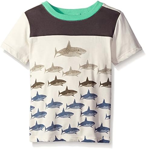 Charlie Rocket Little Boys' Toddler Short Sleeve Color Block Graphic Tee, Oyster, 4T