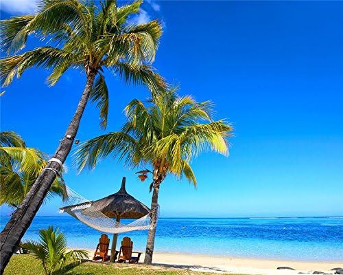 [Wooden Framed] Paint by Numbers Kits for Adults Children Seniors Junior Beginner Acrylics Diy oil Painting Kits - Beach sunbathing 16x20 Inch