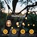 52FT Incandescent Outdoor String Lights UL Listed Commercial Quality Edison Patio Cafe Lights with 30 Incandescent Bulbs, Decorative Patio Porch Beer Garden Backyard Decor Market Lights 24 Sockets